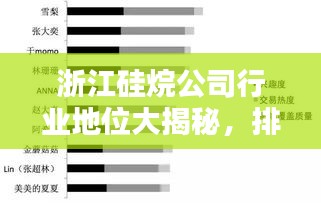 浙江硅烷公司行业地位大揭秘，排名及影响力分析