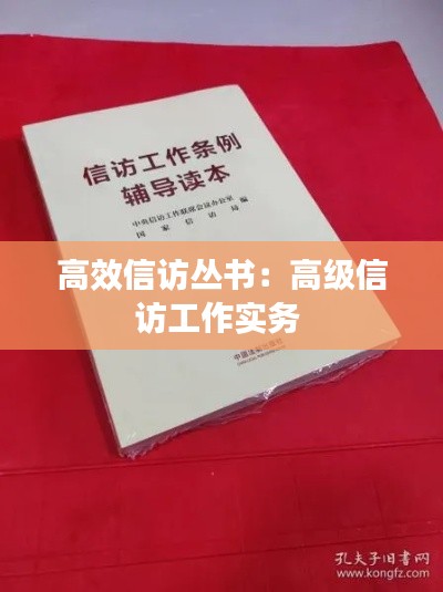 高效信访丛书：高级信访工作实务 