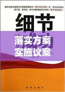 落实方案实施议案，细节决定成败，行动铸就辉煌
