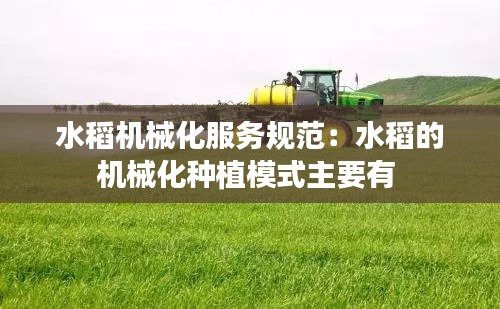 水稻机械化服务规范：水稻的机械化种植模式主要有 