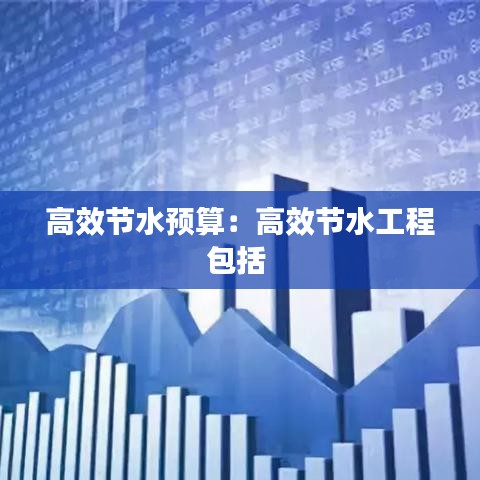 高效节水预算：高效节水工程包括 
