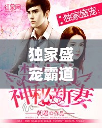 独家盛宠霸道：独家盛宠 小说 