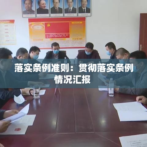 落实条例准则：贯彻落实条例情况汇报 