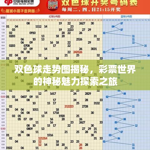 双色球走势图揭秘，彩票世界的神秘魅力探索之旅
