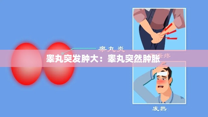 睾丸突发肿大：睾丸突然肿胀 