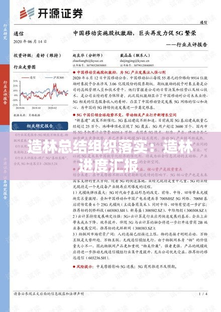 造林总结组织落实：造林进度汇报 