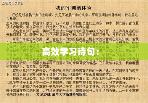 高效学习诗句： 