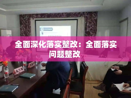 全面深化落实整改：全面落实问题整改 