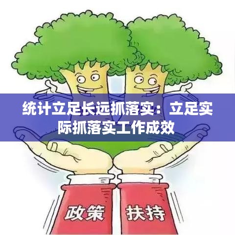 统计立足长远抓落实：立足实际抓落实工作成效 