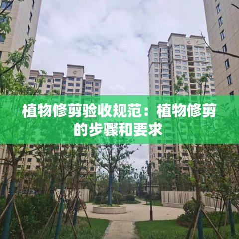 植物修剪验收规范：植物修剪的步骤和要求 