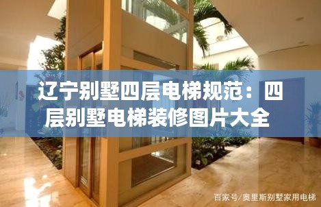 辽宁别墅四层电梯规范：四层别墅电梯装修图片大全 