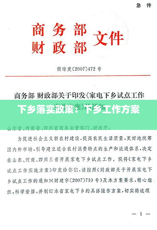 下乡落实政策：下乡工作方案 
