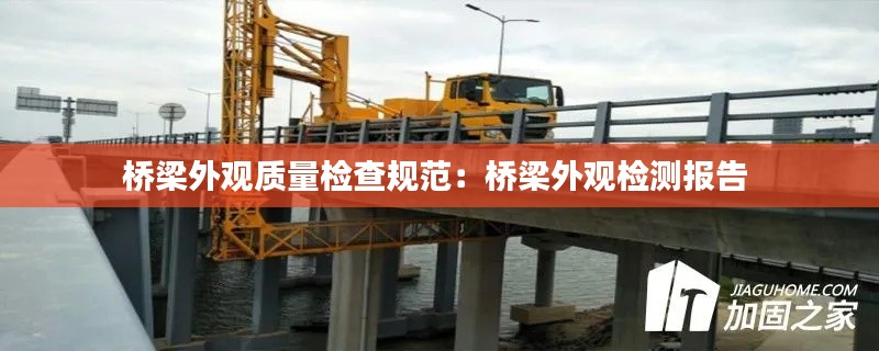 桥梁外观质量检查规范：桥梁外观检测报告 