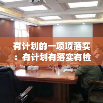 有计划的一项项落实：有计划有落实有检查有反馈 