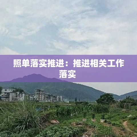照单落实推进：推进相关工作落实 