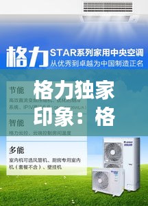 格力独家印象：格力私有 