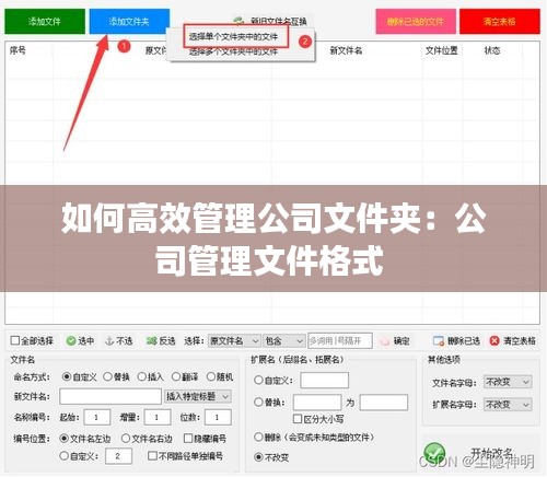 如何高效管理公司文件夹：公司管理文件格式 
