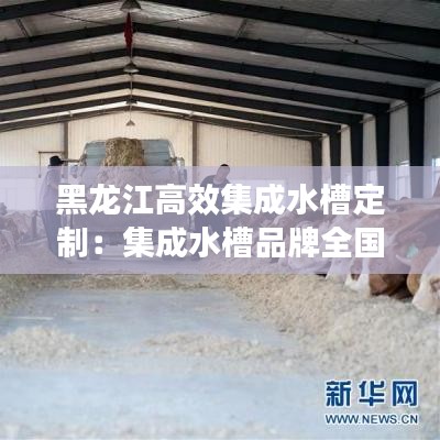 黑龙江高效集成水槽定制：集成水槽品牌全国前十名排行 