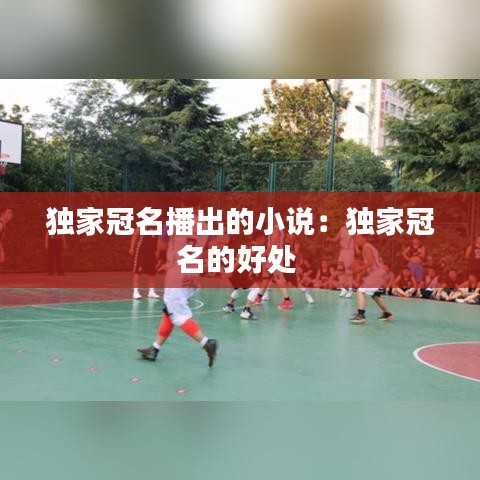 独家冠名播出的小说：独家冠名的好处 