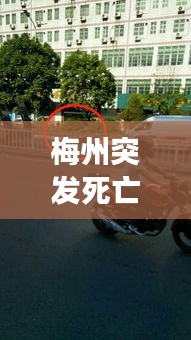 飞来横祸 第2页