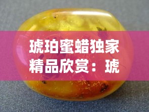 琥珀蜜蜡独家精品欣赏：琥珀蜜蜡目前什么价位? 