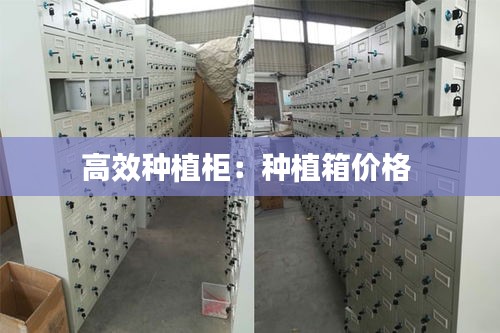 高效种植柜：种植箱价格 