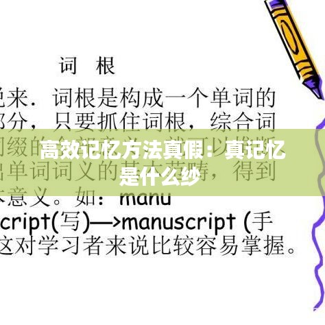 高效记忆方法真假：真记忆是什么纱 