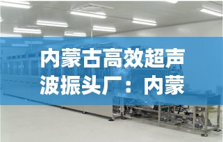 内蒙古高效超声波振头厂：内蒙古振声节能科技 