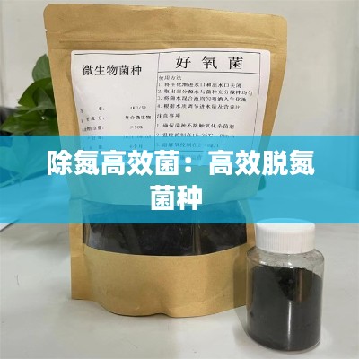 除氮高效菌：高效脱氮菌种 