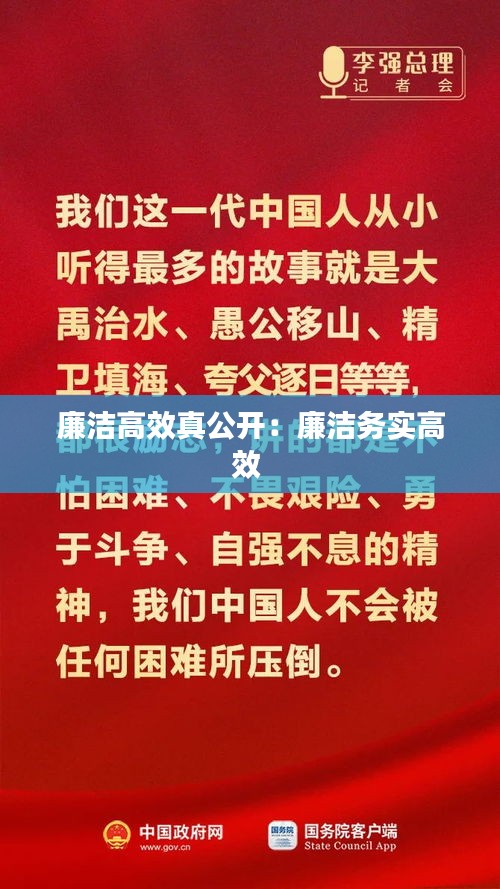 廉洁高效真公开：廉洁务实高效 