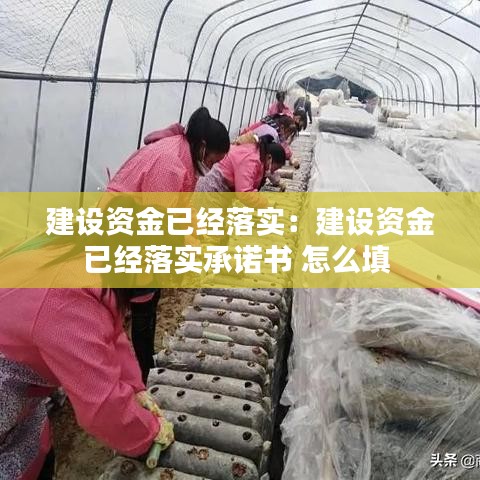 建设资金已经落实：建设资金已经落实承诺书 怎么填 