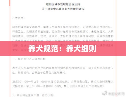 养犬规范：养犬细则 