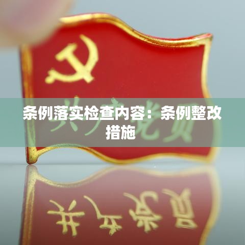 条例落实检查内容：条例整改措施 