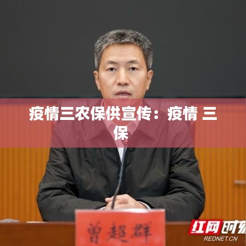 疫情三农保供宣传：疫情 三保 