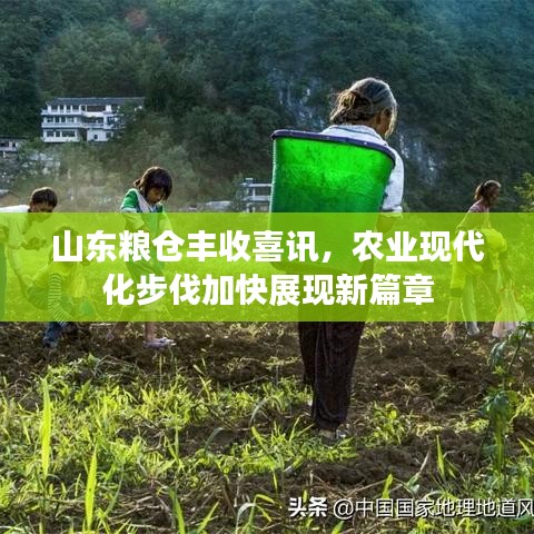 山东粮仓丰收喜讯，农业现代化步伐加快展现新篇章