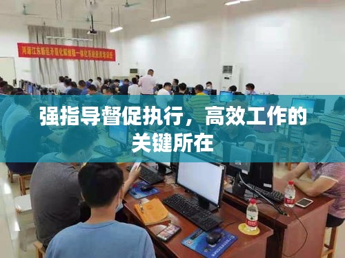 强指导督促执行，高效工作的关键所在