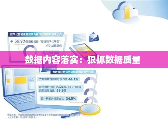 数据内容落实：狠抓数据质量 