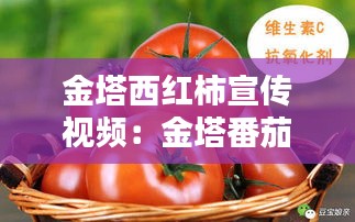 金塔西红柿宣传视频：金塔番茄富含的营养素是 