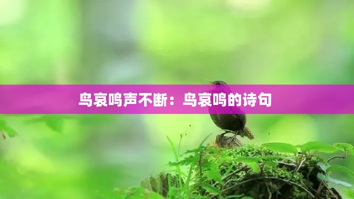 鸟哀鸣声不断：鸟哀鸣的诗句 