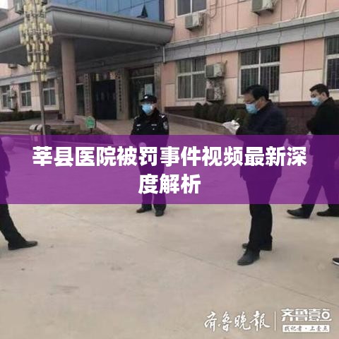 莘县医院被罚事件视频最新深度解析