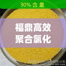 福鼎高效聚合氯化铝：聚合氯化铝生产线 