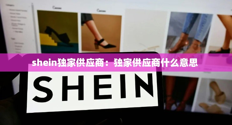 雅人清致 第3页