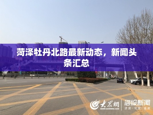 菏泽牡丹北路最新动态，新闻头条汇总