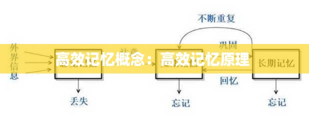高效记忆概念：高效记忆原理 