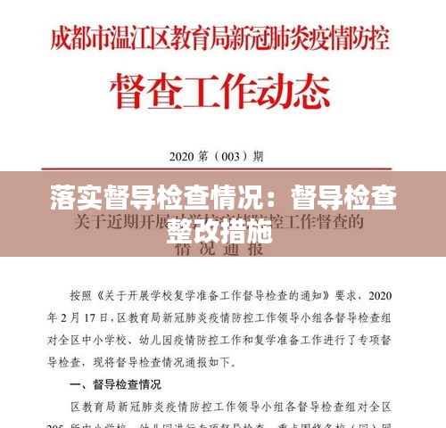 落实督导检查情况：督导检查整改措施 