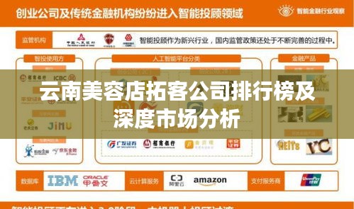 云南美容店拓客公司排行榜及深度市场分析