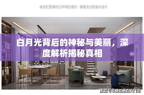 富贵骄人 第2页