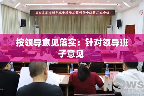 按领导意见落实：针对领导班子意见 
