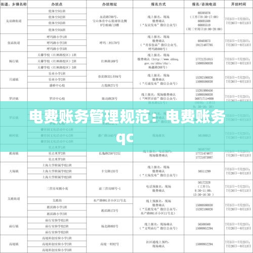 电费账务管理规范：电费账务qc 