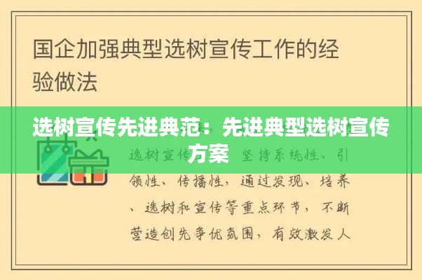 选树宣传先进典范：先进典型选树宣传方案 